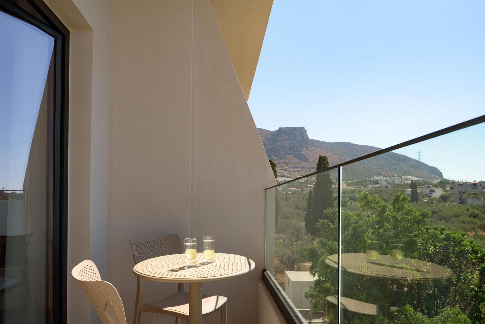 Superior Double or Twin Room Terrace