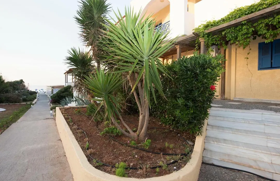 Mikes Beach Lux-1