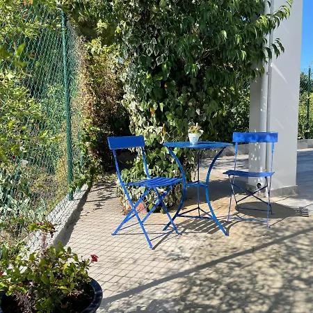 Pera Casa-3