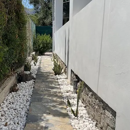 Pera Casa-2
