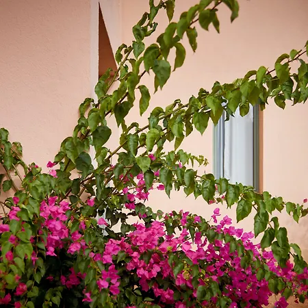 Village Heights Resort-3