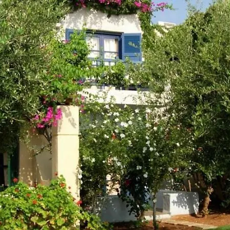 Allsun Zorbas Village-2